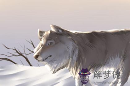 愛情測試