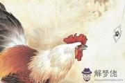 2021年屬雞的幸運色是什麽吉祥顏色