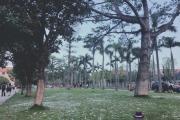 脾氣大但是財運好的生肖