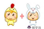 雞爸爸和兔媽媽生什麽寶寶好