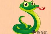 屬蛇的人和什麽屬相相害