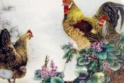 屬雞人家里擺放什麽好