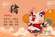 什麼生肖怕出名 這些生肖喜歡平淡安穩