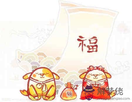 狗和龍的屬相合不合