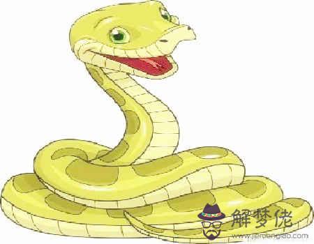 生肖屬蛇女最怕幾月出生