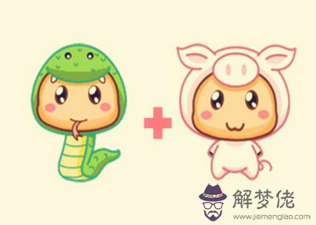 豬和蛇的屬相合不合
