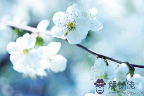 2021年本命年一直破財怎麼辦?有什麼辦法可以補救