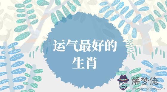 哪些生肖運氣好?