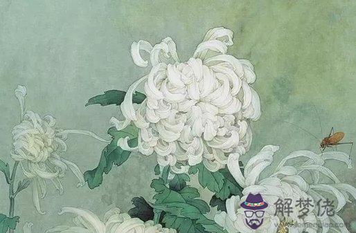 1612712572654908.jpg 2021-02-04_001233.jpg