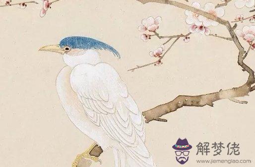 1612449292900467.jpg 2021-01-29_001500.jpg