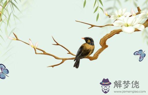 1611802044525020.jpg 2021-01-26_194637.jpg