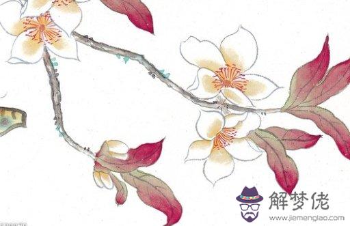 1611735359962380.jpg 2021-01-26_194622.jpg