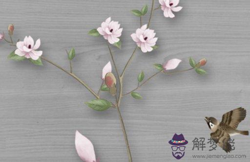 1611645587491230.jpg 2021-01-26_145919.jpg