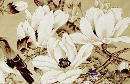 1611226733623558.jpg 2021-01-21_170926.jpg