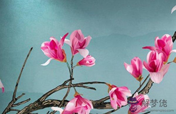 1610337096491604.jpg 2021-01-11_100534.jpg