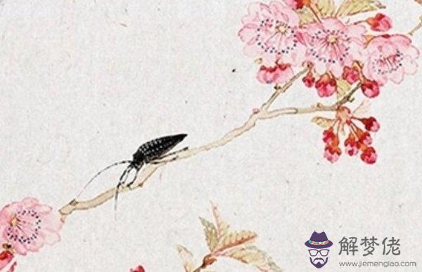 1610075469480890.jpg 2021-01-08_101646.jpg