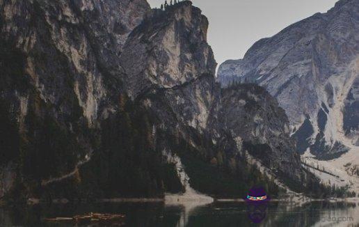 生肖屬雞的2021年上半年好還是下半年運勢好，上半年財運較好