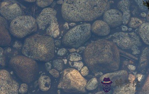 屬馬人每月運勢運程 2021年10月總運最全解析