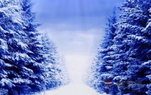 屬馬人每月運勢運程 2021年10月總運最全解析