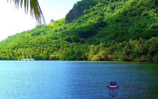 生肖月運 屬龍的人2021年8月份運勢運程詳解