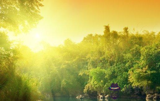 生肖月運 屬狗的人2021年8月份運勢運程詳解