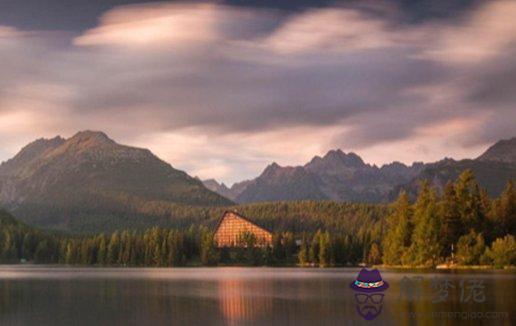 屬牛2021年穿什麼顏色衣服好 牛年本命年幸運色有哪些