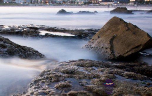 屬牛本命年2021年可以入伙嗎 今年搬家好嗎