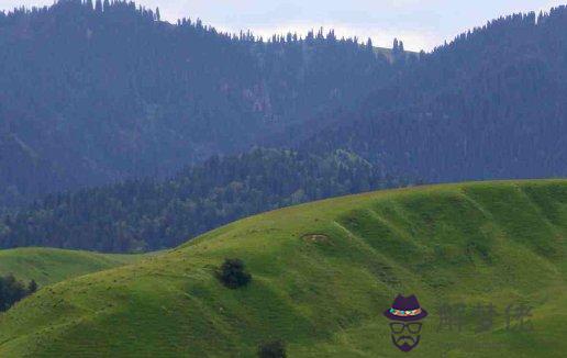 2021年生肖屬牛女生化解犯太歲,有什麼方法