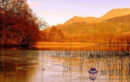 牛年出生的女人本命年結婚有什麼說法,有什麼注意事項