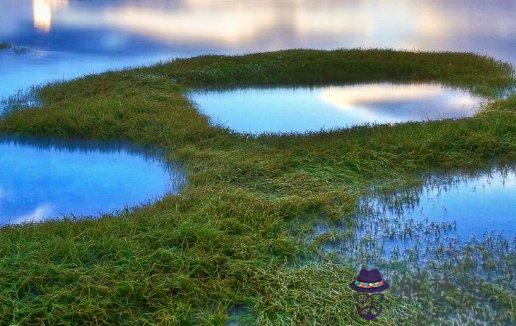 2021年生肖屬牛女生入宅搬新家好不好,有什麼講究說法