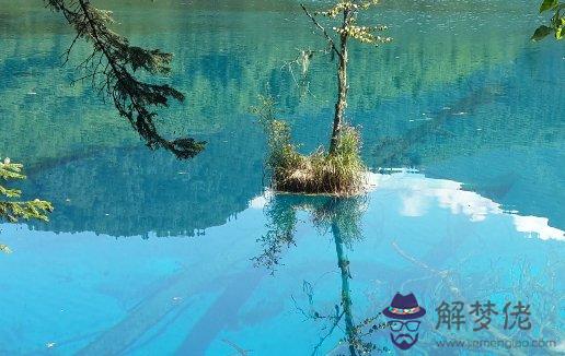 本命年屬牛女2021年搬家擇日有什麼講究,有哪些好日子