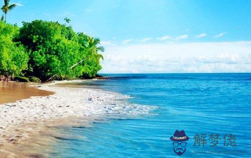 牛年出生的男生本命年入宅有什麼禁忌,有什麼注意事項