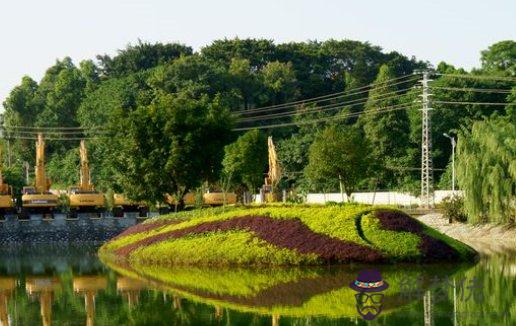 牛年出生的男生本命年入宅有什麼禁忌,有什麼注意事項