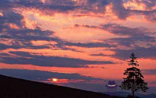 本命年屬牛的男人2021年創業運氣怎麼樣,有什麼注意事項