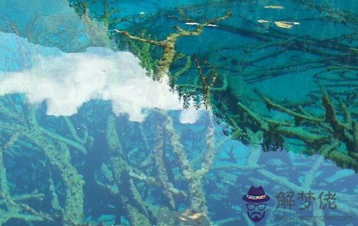 牛年男屬相2021年本命年，可以創業開飯店嗎