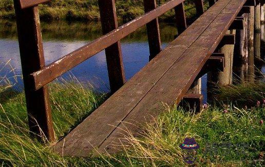 2012年生肖屬牛男本命年,適合上班族的副業有哪些?