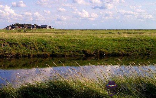 2012年生肖屬牛男本命年,適合上班族的副業有哪些?