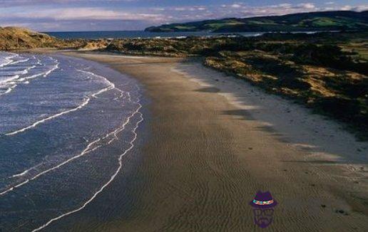 2021牛年屬相女本命年有什麼講究,注意事項是什麼