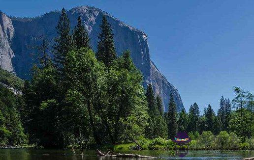 牛年男屬相2021年本命年意味著什麼,有何注意事項