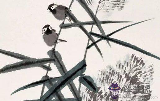 2012年生肖牛本命年2021年 創業會成功嗎