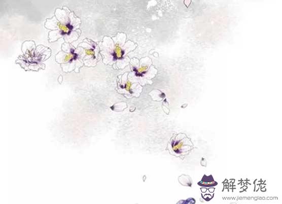 1997年屬牛的2021年本年運勢如何