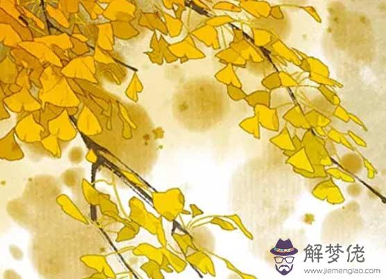 2021年屬牛本命年可以結婚嗎,牛年本命年結婚好嗎