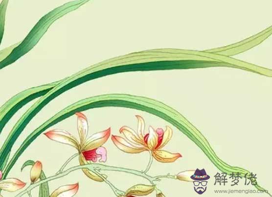 24歲本命年2021年今年桃花運怎麼樣