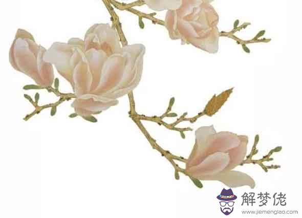 74年的屬虎男命2021牛年運勢還不錯 寅丑暗合吉星照拂