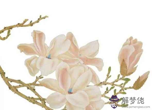 74年的屬虎男命2021牛年運勢還不錯 寅丑暗合吉星照拂