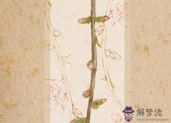 99年出生的屬兔的男人2021牛年運氣穩定 太歲偏財歲干偏宮