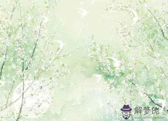 19年出生的屬豬女2021年全年運氣吉兇共存 歲干相生地支相克