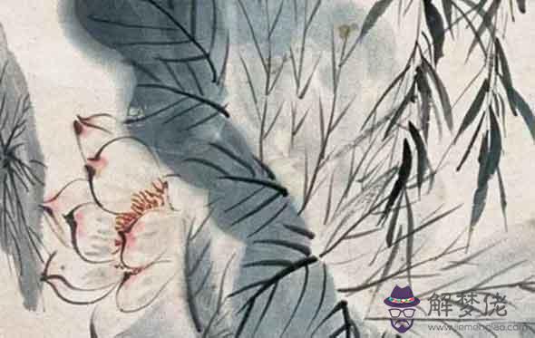 屬相年運:屬虎的人2021年愛情和婚姻不錯