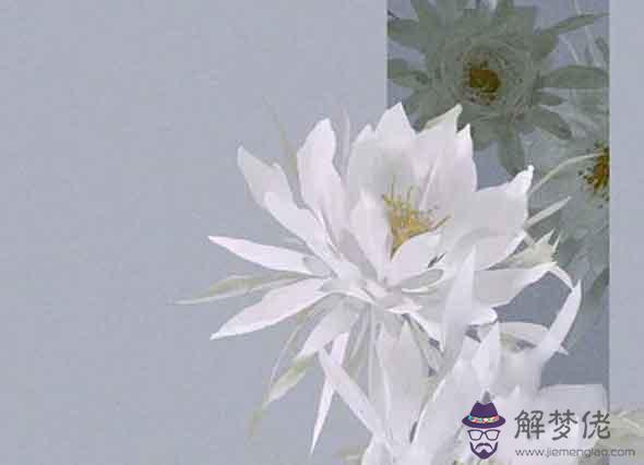 2021年屬狗的人有貴人運嗎 看緣分有兇星侵襲