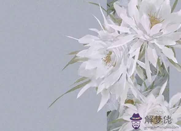 2021年屬狗的人有貴人運嗎 看緣分有兇星侵襲